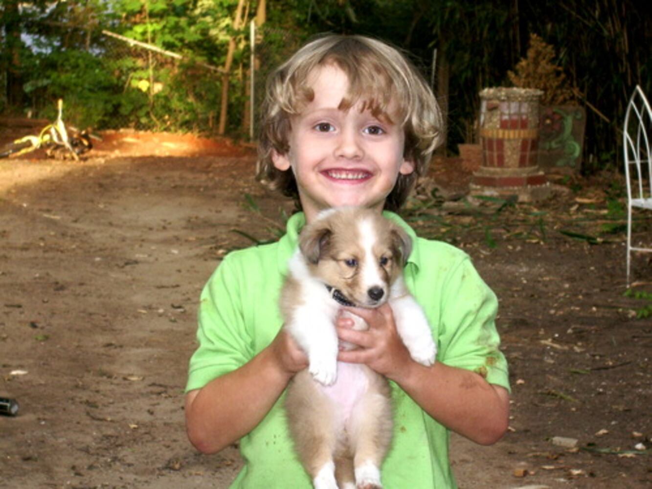 Cutest pets