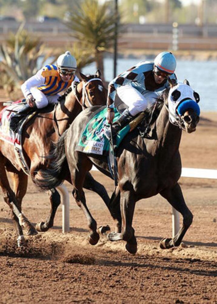 Kentucky Derby field 2011