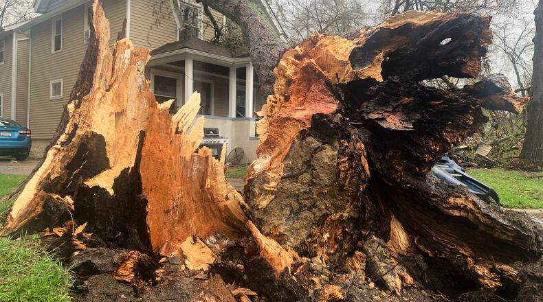 An uprooted tree rests on a home following a severe storm Wednesday, April 15, 2026, in Ann Arbor, Mich. (AP Photo/Mike Householder)