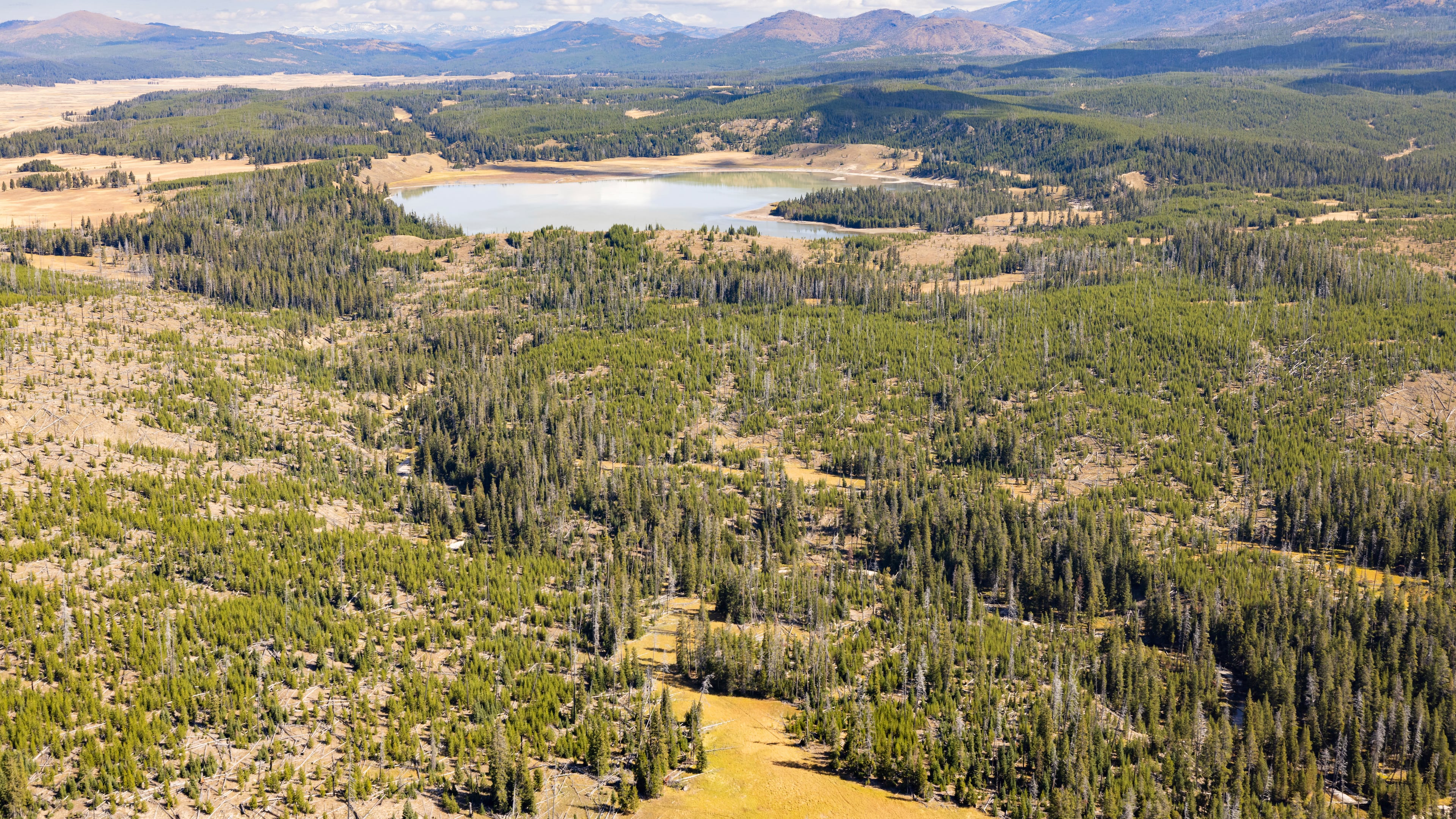 This photo released by the Nation Park Service shows Turbid Lake on a sunny on Sept. 21, 2024, in Yellowstone National Park, Wyo. (Jacob W. Frank/National Park Service via AP)