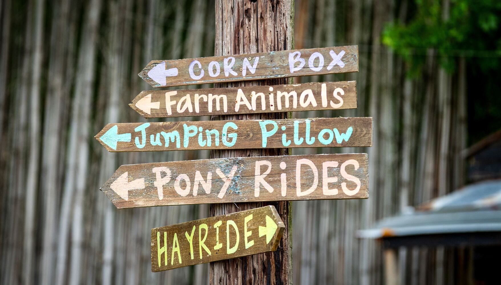 Buford Corn Maze May Fair