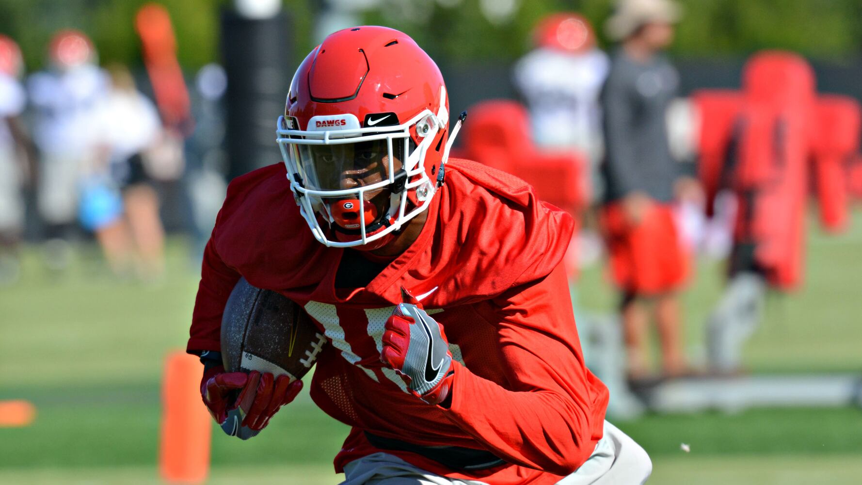 Georgia Bulldogs