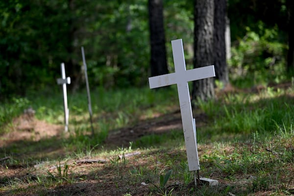Simple white wooden crosses dot a forest near Washington, marking confirmed Revolutionary War graves in Wilkes County. (Hyosub Shin/AJC)