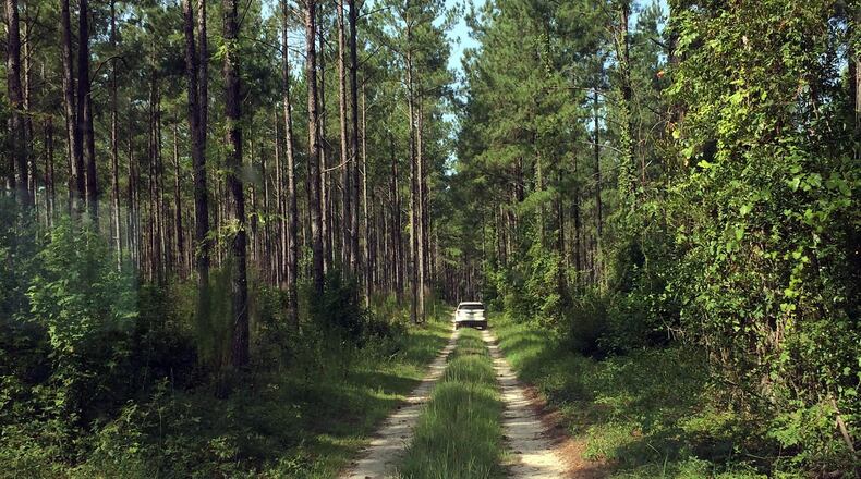 A stretch of land near where Kinder Morgan wanted to build a pipeline in east Georgia. AJC photo/Greg Bluestein