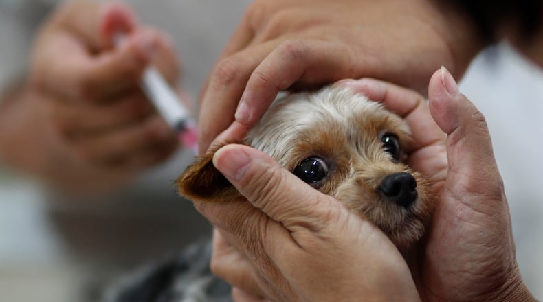 The Society of Humane Friends of Georgia is offering low-cost pet vaccinations on April 30.