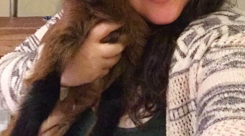 Megan Kibby and friend will be teaching Goat Yoga to yogis and goat fanciers who don’t mind practicing their morning asanas accompanied by the pitter-pat of little hooves. Photo: courtesy Red Wagon Goats