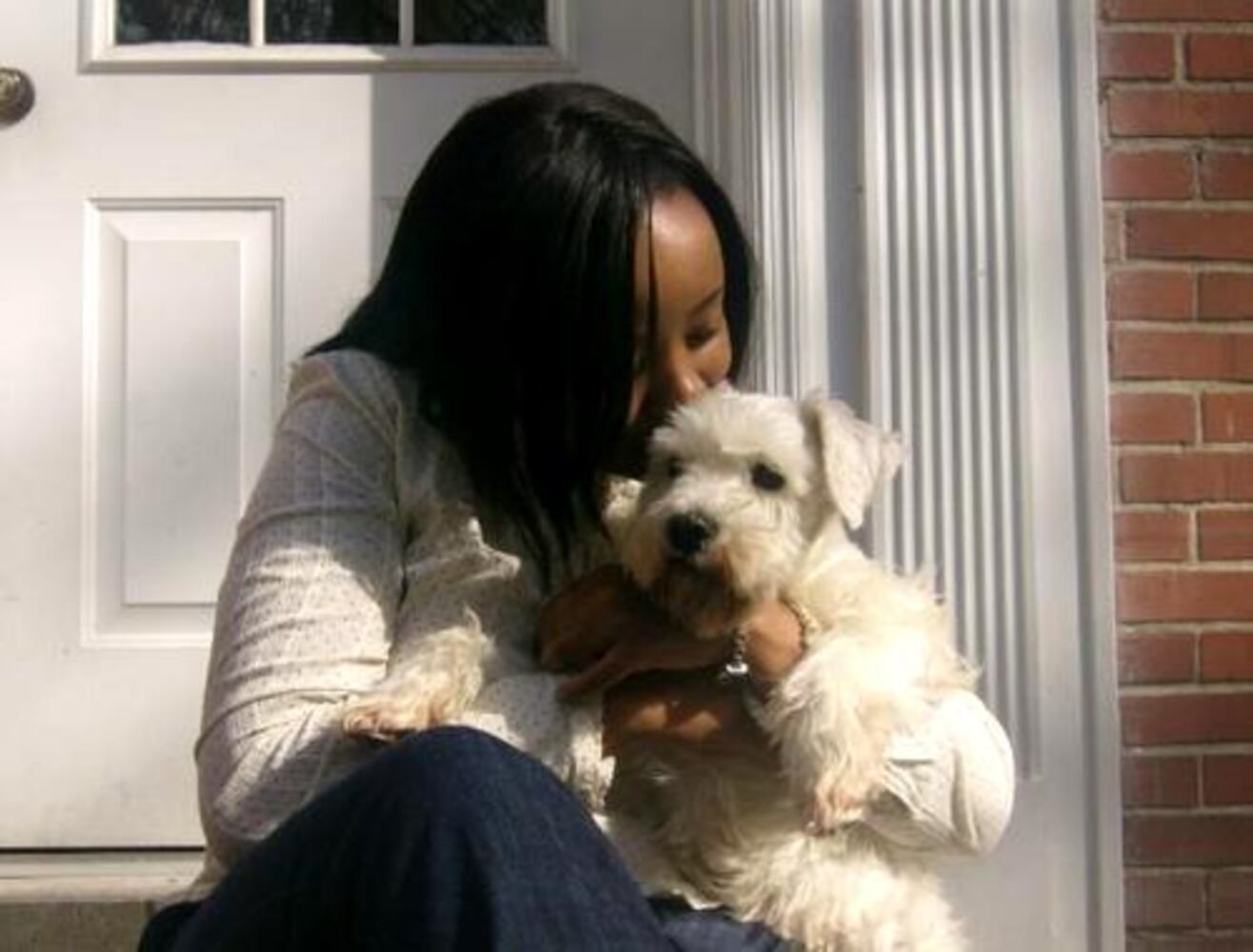 Atlanta's Top Dogs: 8. Schnauzers
