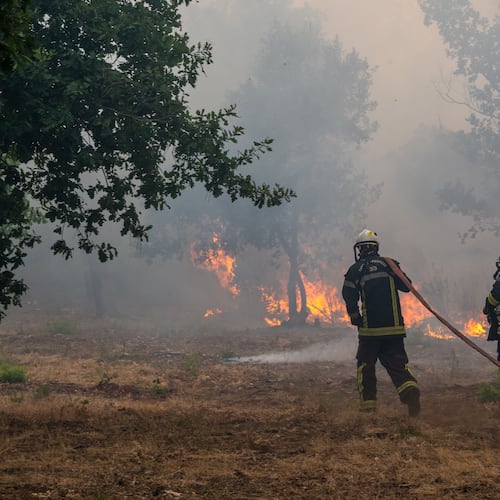 Fiirefighters spray water in a burning forest in the Lège-Cap-Ferret region, western France, Friday, July 24, 2026. (AP Photo/Caroline Blumberg)