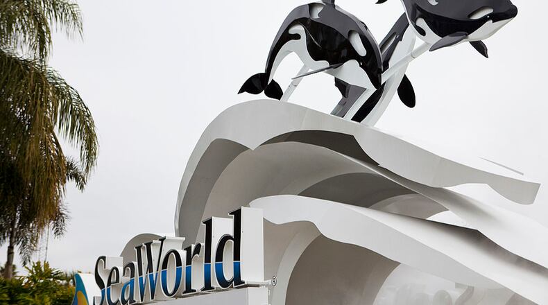 The sign at an entrance to a SeaWorld park (Photo by Matt Stroshane/Getty Images)