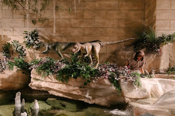 Replicas of dinosaurs and an early human -- which according to evolutionary scientists are separated by tens of millions of years -- are displayed side-by-side in the main hall of the Creation Museum in Petersburg, Ky., Friday, March 21, 2025. (AP Photo/Madeleine Hordinski)
