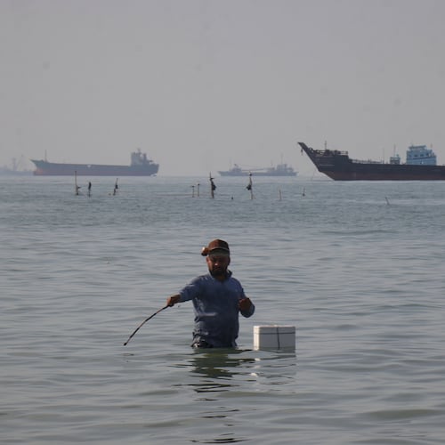 A man stands in the water, appearing to fish, as bulk carriers, cargo ships, and service vessels line the horizon in the Strait of Hormuz off Bandar Abbas, Iran, Monday, April 27, 2026.(Razieh Poudat/ISNA via AP)