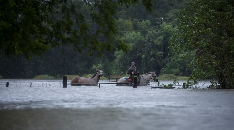 A man leads two horses through a neighborhood after the area became flooded in Houston, Aug. 29, 2017. As one of the most destructive storms in the nations history pummeled southeast Texas for a fourth day, forecasts on Tuesday called for still more rain, making clear that catastrophic flooding that had turned neighborhoods into lakes was just the start of a disaster that would take years to overcome. (Andrew Burton/The New York Times)