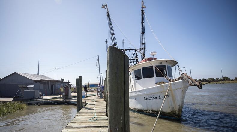 TYBEE ISLAND, GA - OCTOBER 4, 2023: The crew of the shrimp trawler Amanda Lynn unload their catch, Wednesday, Oct. 4, 2023, in Tybee Island, Georgia. Local shrimpers are struggling against foreign shrimp farms under cutting the market. (AJC Photo/Stephen B. Morton)