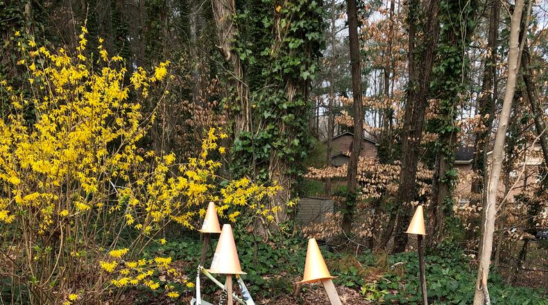 Barbara Barnhart wants this sidewalke fixed so it’s safer sfor school children and pedestrians. Photo/Barbara Barnhart.