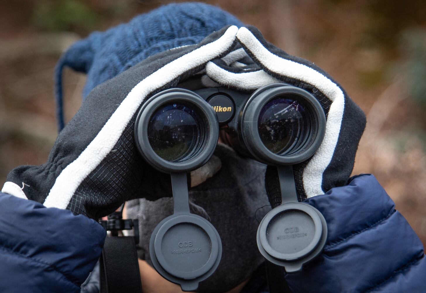 Bird Walk and Wildlife Viewing at Morgan Falls Overlook Park