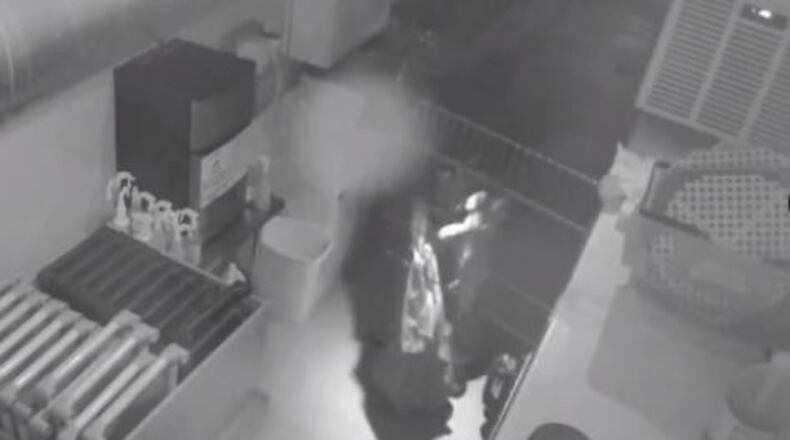 Two suspects broke into the store, loaded 11 puppies into cloth bags and left.