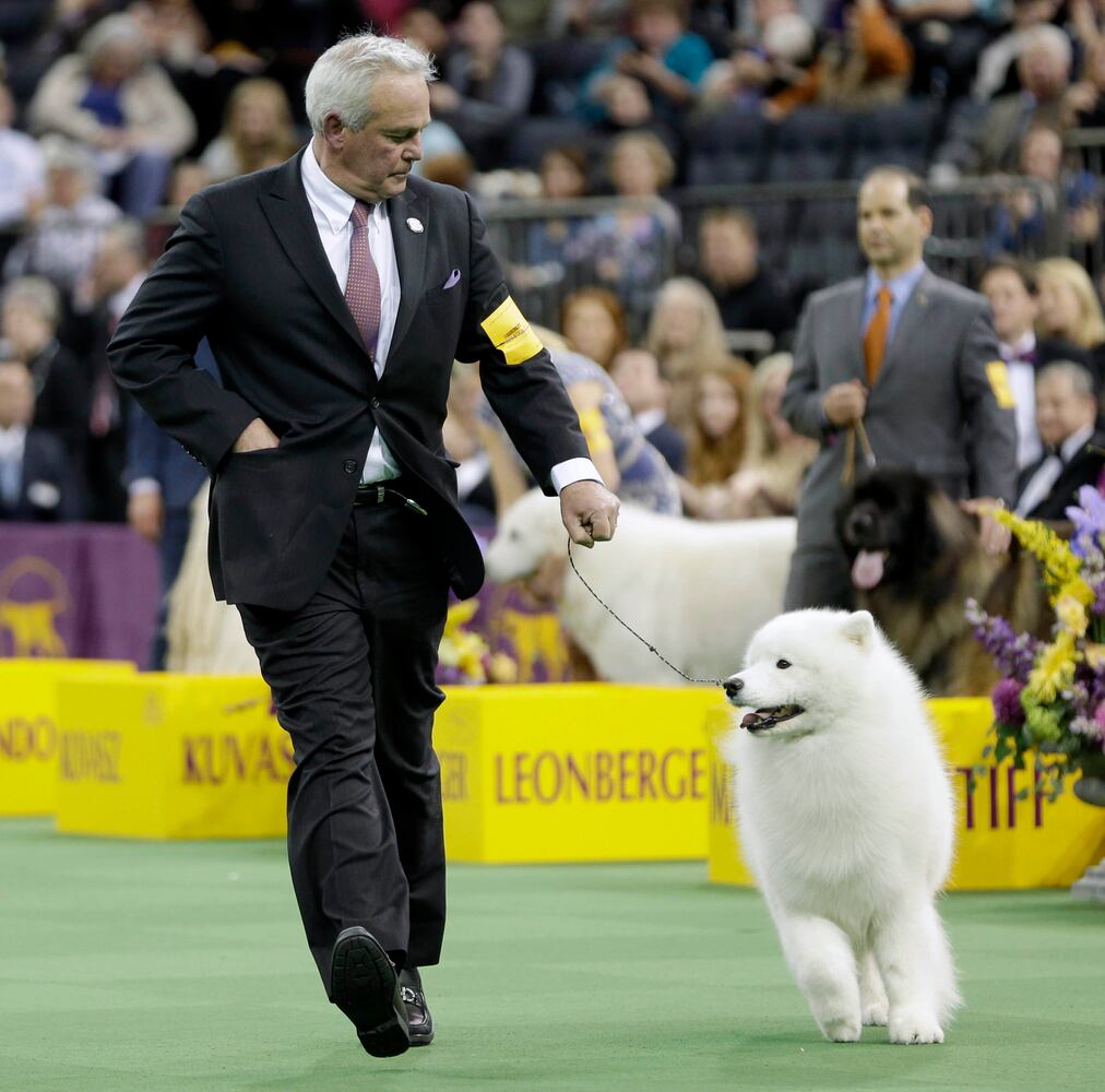 140th Westminster Kennel Club Dog Show