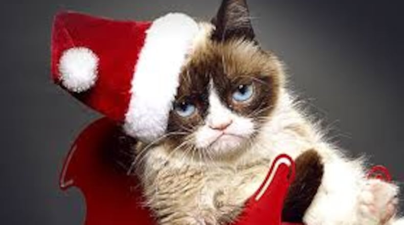 Grumpy cat is so happy it's Christmas! Check her out on her Lifetime film Saturday. CREDIT: Lifetime