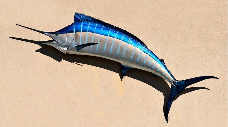 A Maryland fishing crew caught a 914-pound blue marlin at a North Carolina tournament over the weekend.