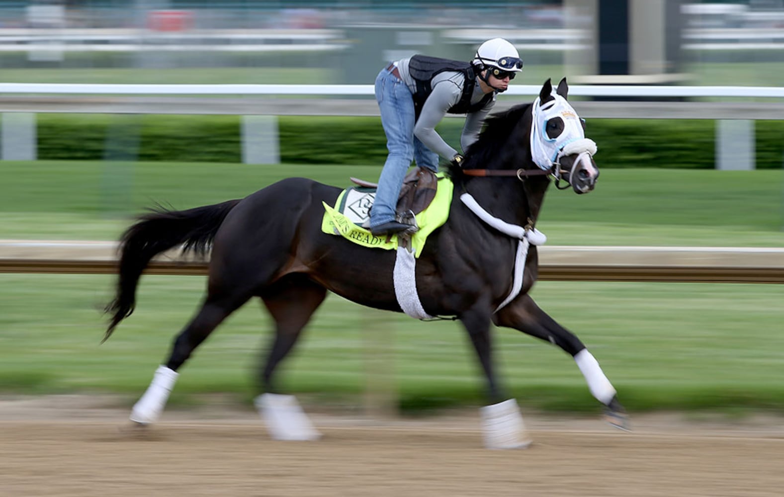 2016 Kentucky Derby field