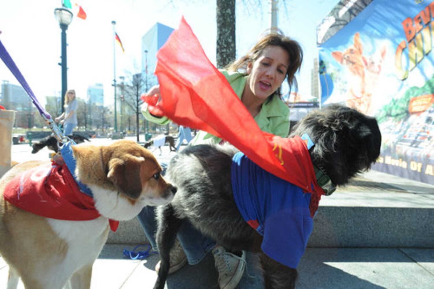 Pooches strut their stuff for Disney movie audition