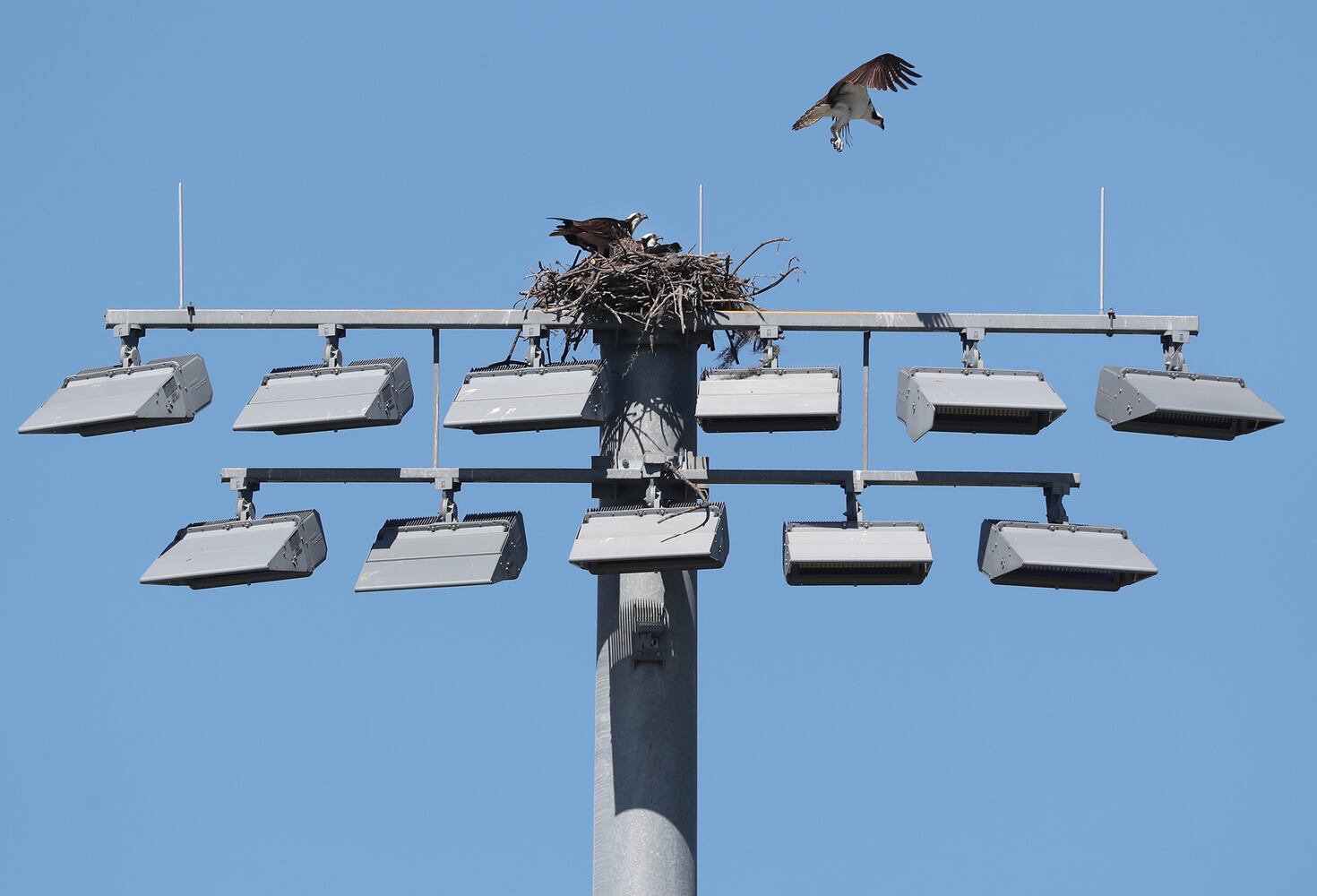 Braves spring training - Thursday, Feb. 25, 2021