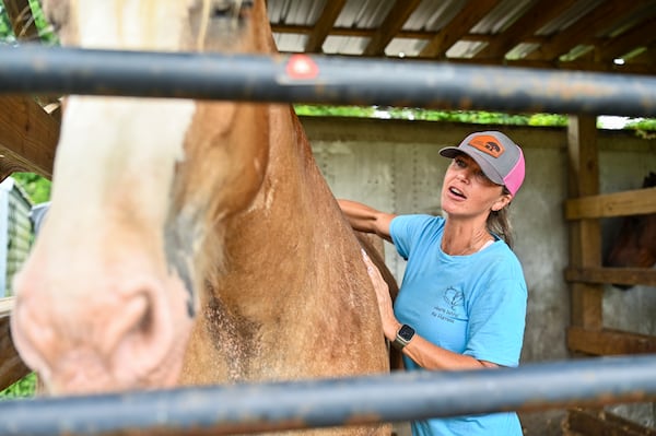Cara Marshall brushes down one of her company’s many horses at the stables off Wheaton Street in Savannah. (Sarah Peacock for the AJC) 