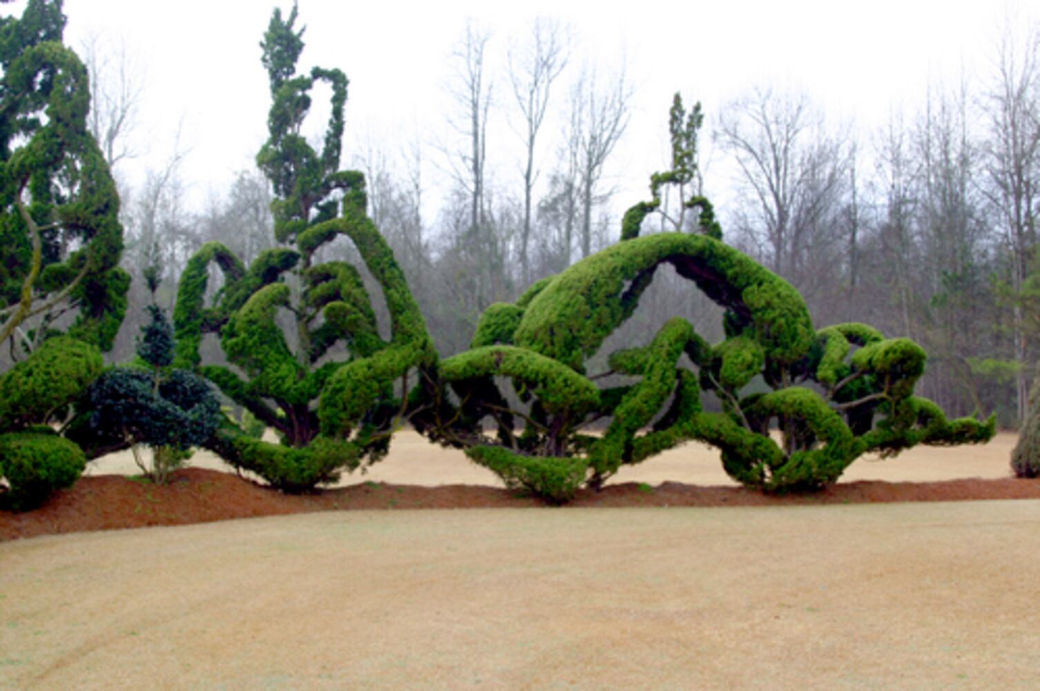 Pearl Fryar: A man and his topiary