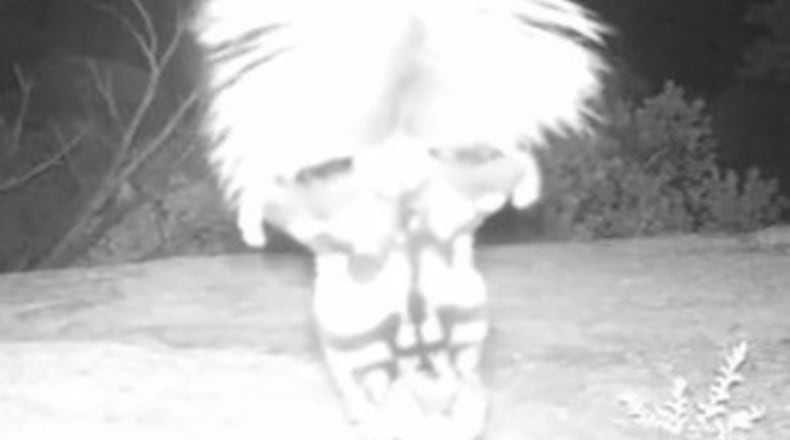 Photo credit: uninterior via Instagram