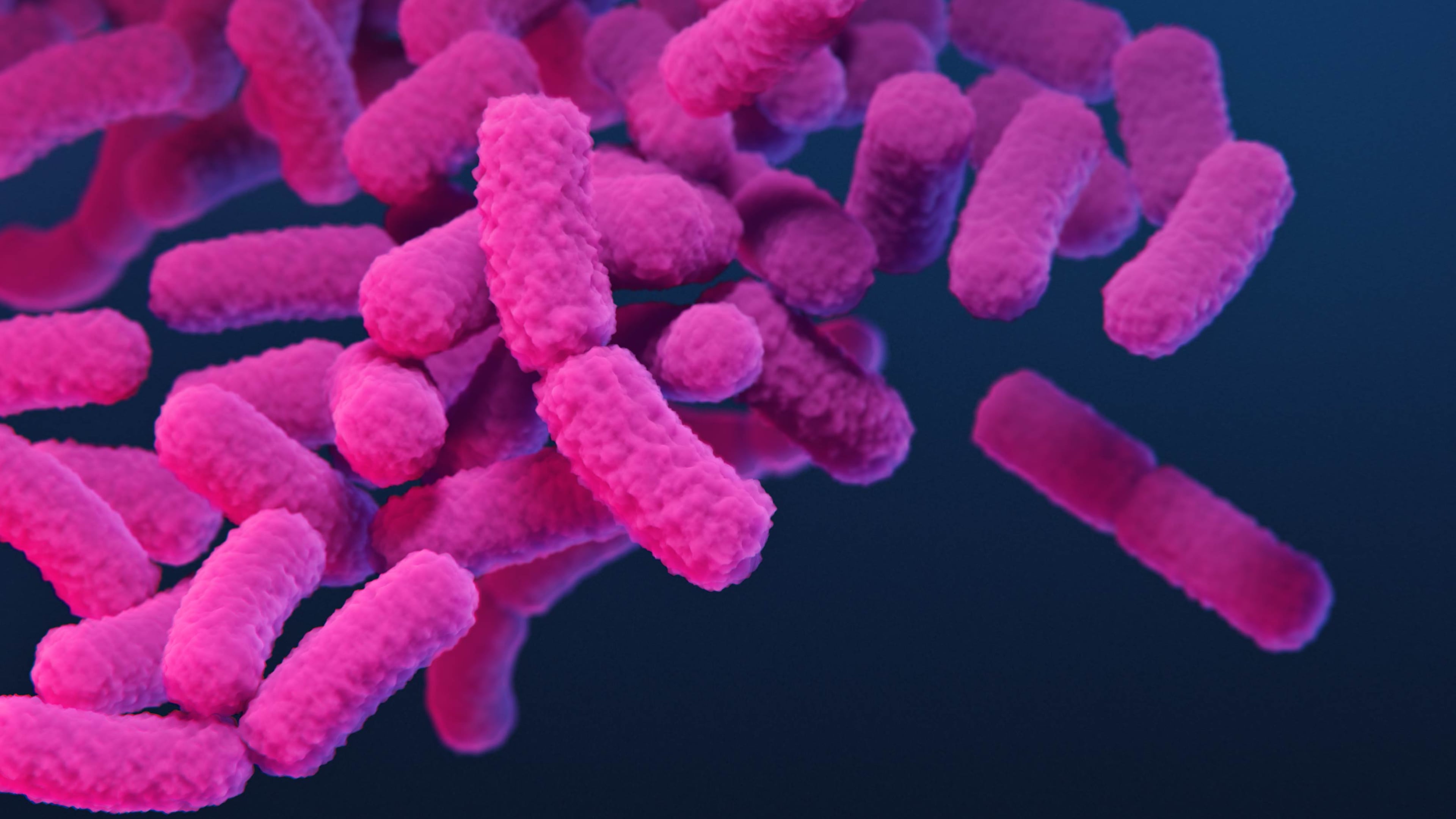 This 2019 illustration provided by the Centers for Disease Control and Prevention depicts carbapenem-resistant Enterobacteriaceae (CRE) bacteria. (Stephanie Rossow/CDC via AP)