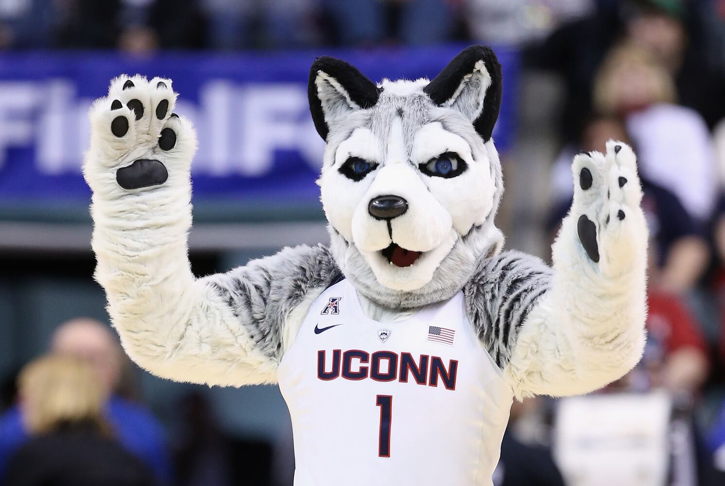 2016 NCAA women's Final Four