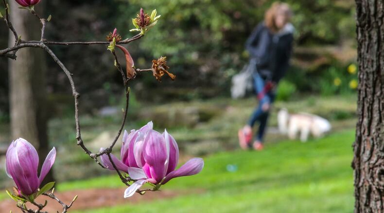 Grady High School sophomore Maddie Brown brought her dog for a walk at Winn Park Feb. 20, 2017. JOHN SPINK / JSPINK@AJC.COM