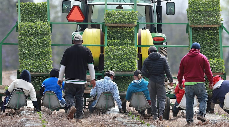 Farmworkers hand-plant rows of watermelon while riding on a seat platform behind a tractor at the Sweet Dixie Melon farm in Tift County on March 19, 2019. (Curtis Compton/The Atlanta Journal-Constitution/TNS)