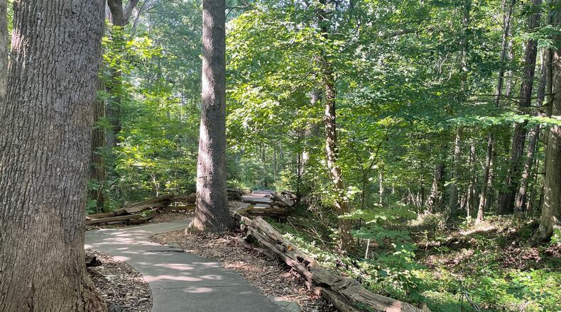 Entering the Big Trees Forest Preserve in Sandy Springs immediately allows for an escape from the hustle and bustle of nearby Roswell Road. (Courtesy Karen Huppertz for the AJC)