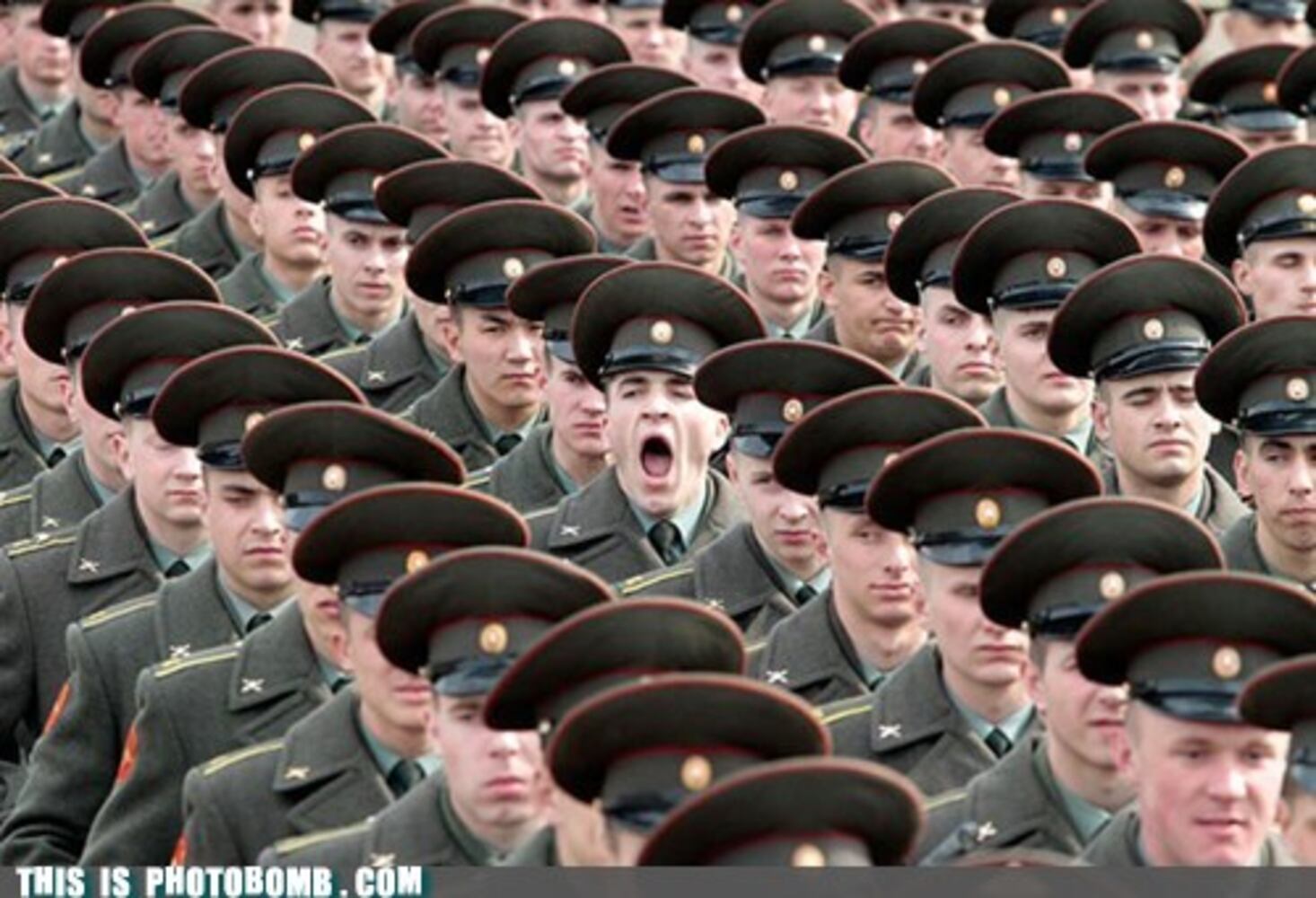 thisisphotobomb.com