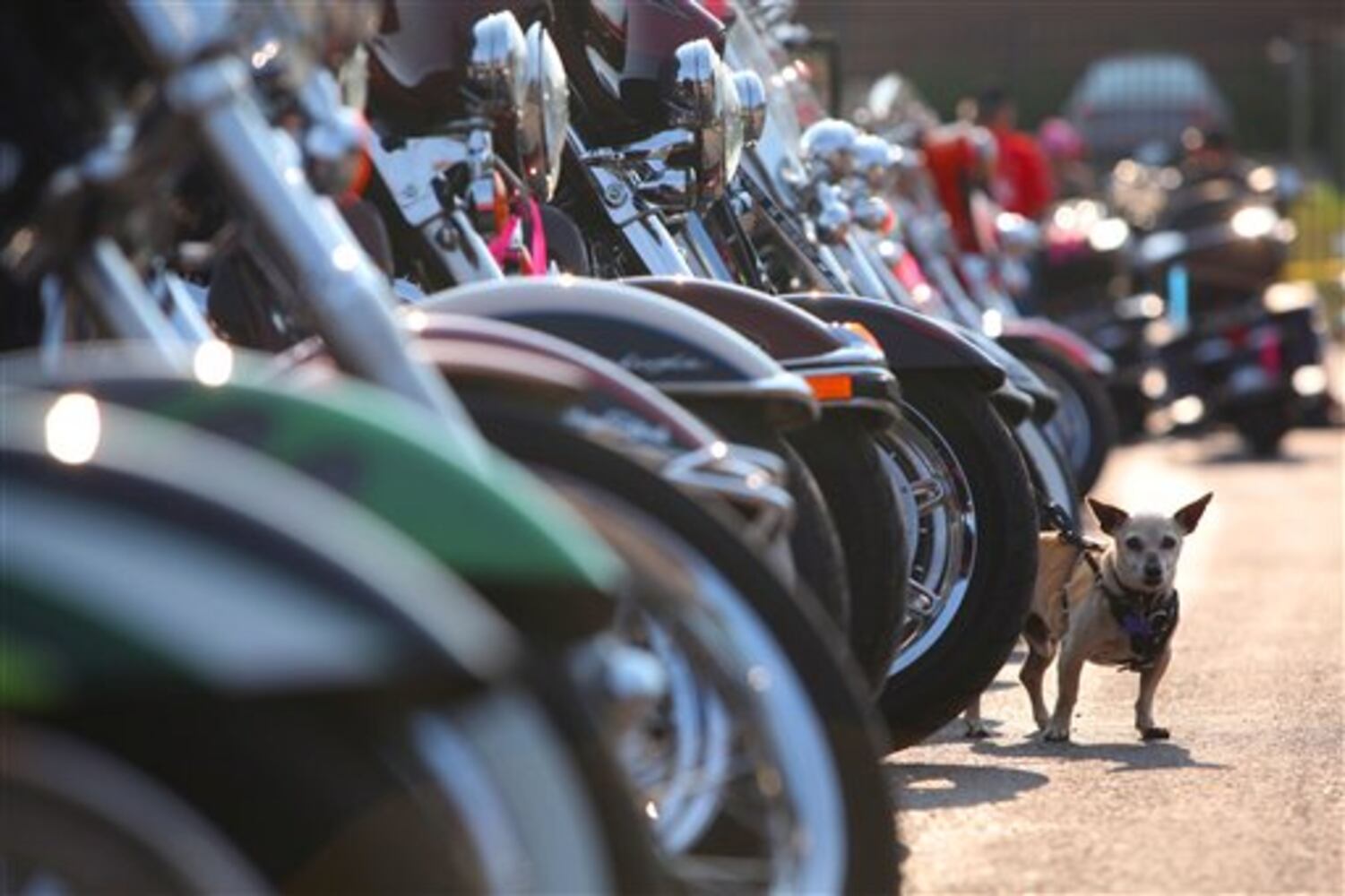 Sturgis Motorcycle Rally 2014