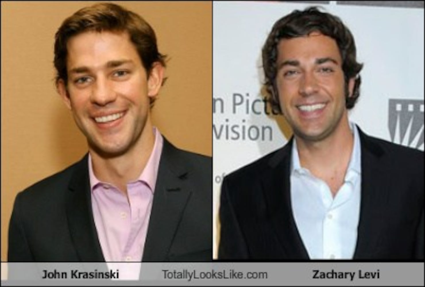 TotallyLooksLike.com