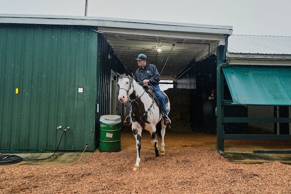 FILE - Trainer D. Wayne Lukas rides atop a horse during morning workouts ahead of the 150th running of the Preakness Stakes, May 13, 2025, at Pimlico Race Course in Baltimore. (AP Photo/Stephanie Scarbrough, File)