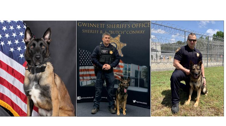 The Georgia Police K-9 Foundation has donated lightweight protective vests to (from left to right) Gwinnett County Police Department K-9 Jekel and Gwinnett County Sheriff's Office K-9s Armo and Cino.