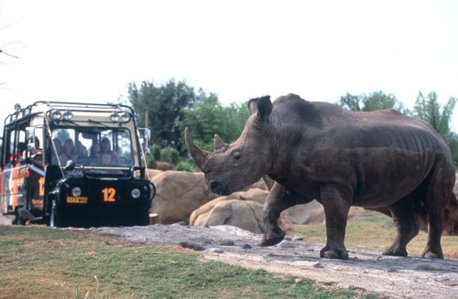 Tampa attractions plentiful and fun