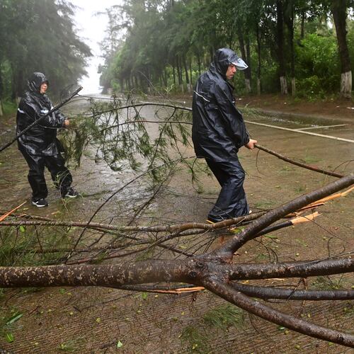 In this photo released by Xinhua News Agency, workers clear up a fallen tree along a road in Jiangping town, Dongxing of Fangchenggang, south China's Guangxi Zhuang Autonomous Region on Saturday, July 4, 2026, after a severe weather system was affecting the area. (Lu Boan/Xinhua via AP)