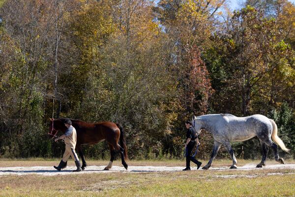 Joshua Arp (left) walks Misty and trainer Abigail Jordan walks Diesel. Only two detainees were selected for the sheriff’s office’s new detainee equine therapy work release program, and Arp was one of them. (Jason Getz/AJC)