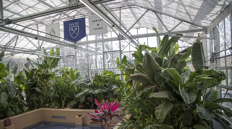 The Emory WaterHub at the Emory University main campus features a range of plants. On any given day, up to 400,000 gallons of wastewater flow out of the campus sewer system to pipes under the light blue flooring that doubles as a diagram for how the system works. The waste is treated through a series of processes that mimic nature. ALYSSA POINTER / ALYSSA.POINTER@AJC.COM