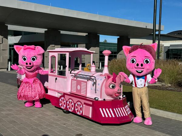 The new Pink Pig train was introduced to media Wednesday.
