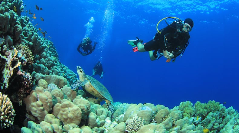 Windjammer Landing Villa Beach Resort in St. Lucia offers an excursion that combines yoga and breathwork with underwater diving. 
Courtesy of Windjammer Landing