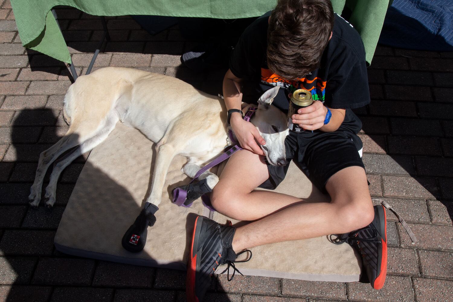 PHOTOS: Fall Jonquil Festival 2019