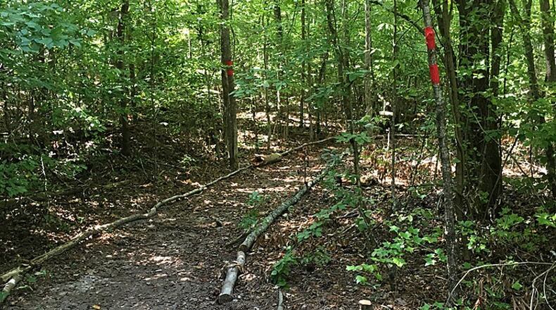 A restored trail at Providence Park in Milton is the first of a number of improvements planned for the 42-acre property. (Photo: City of Milton)