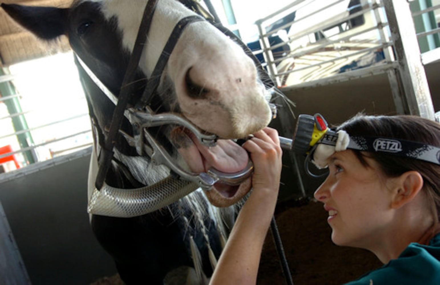 Yaarab Shrine Circus comes to town