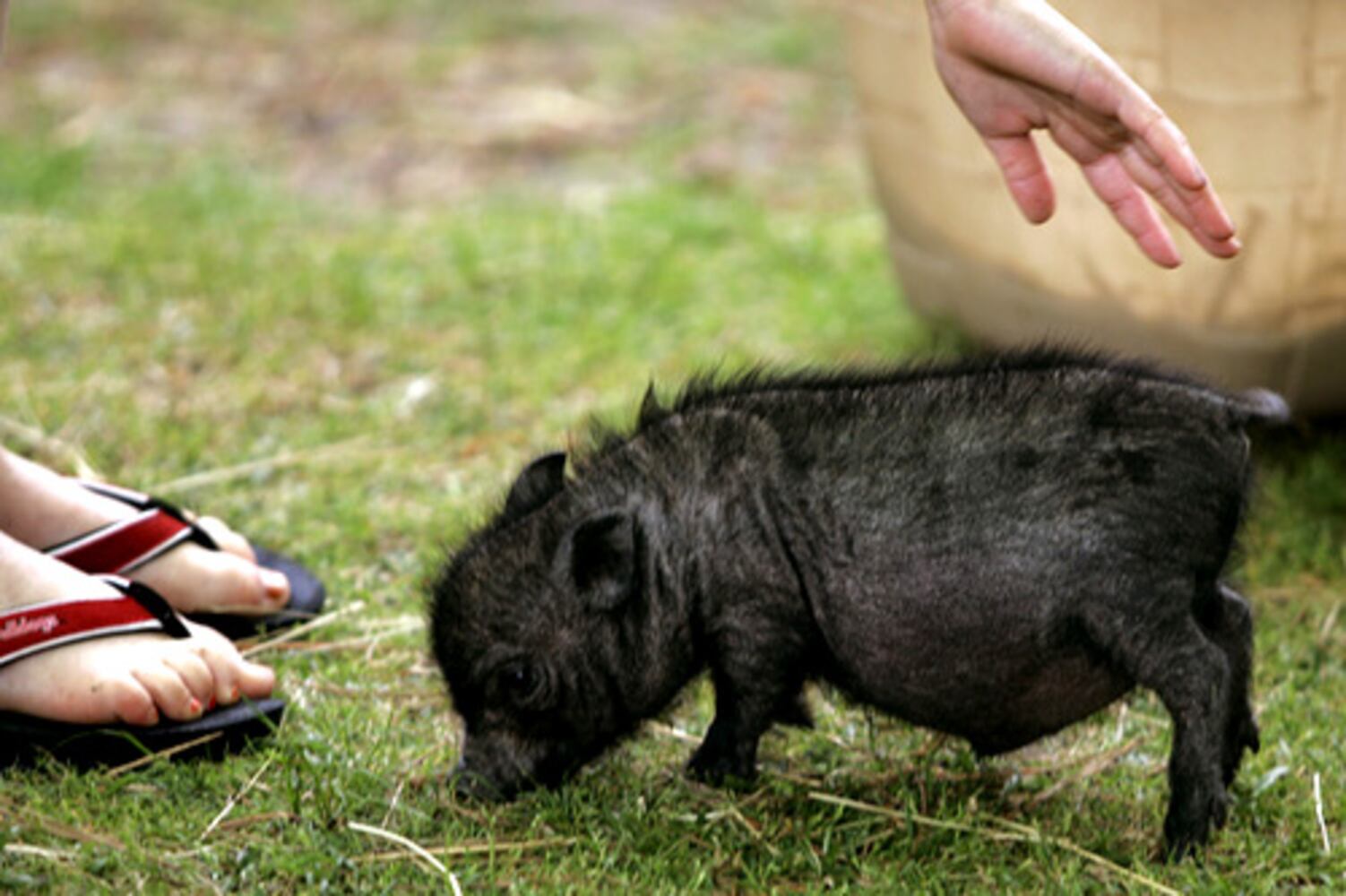 May 5, 2008: Today in Pictures