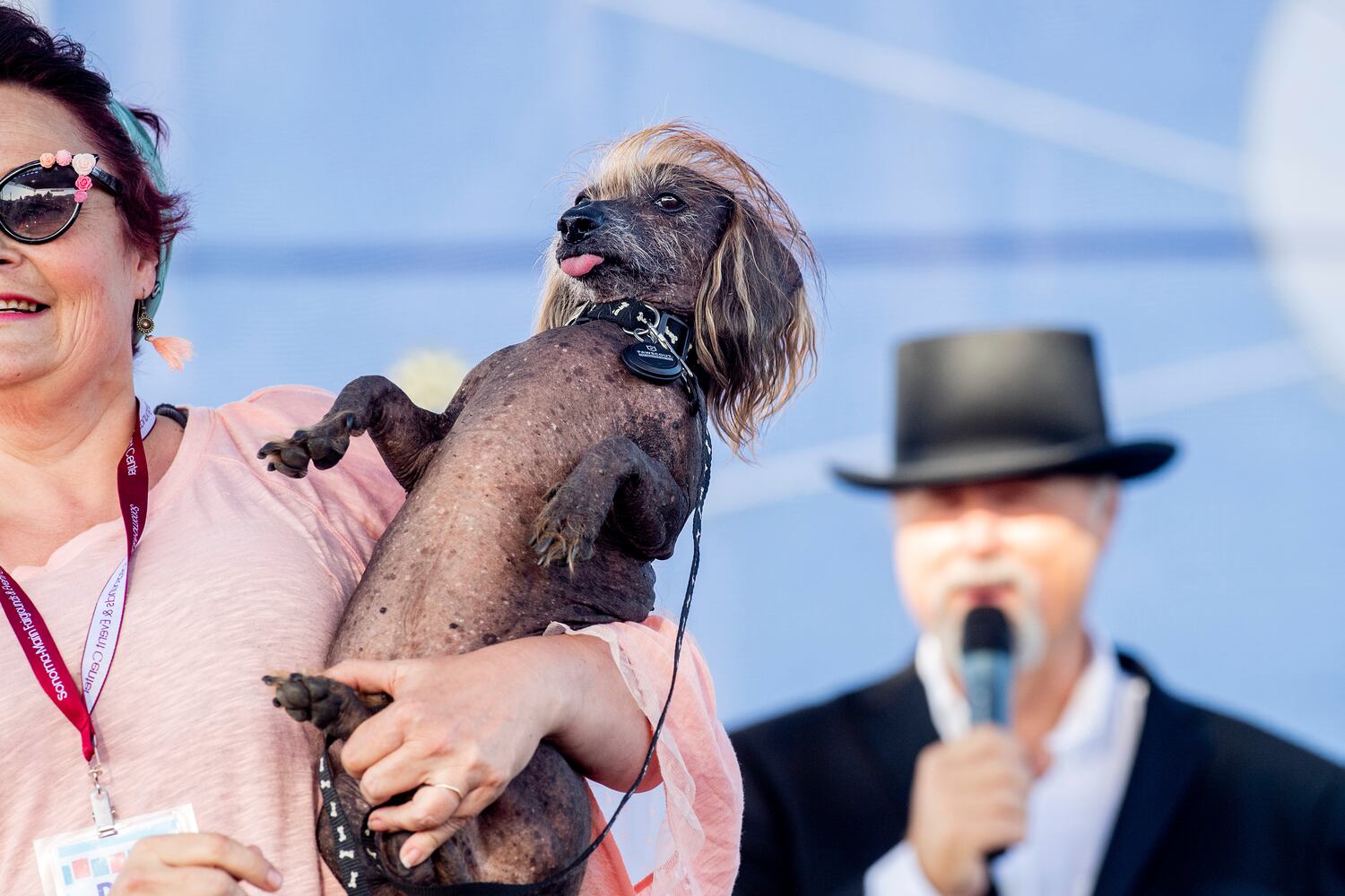 Photos: Scamp the Tramp wins World's Ugliest Dog Contest